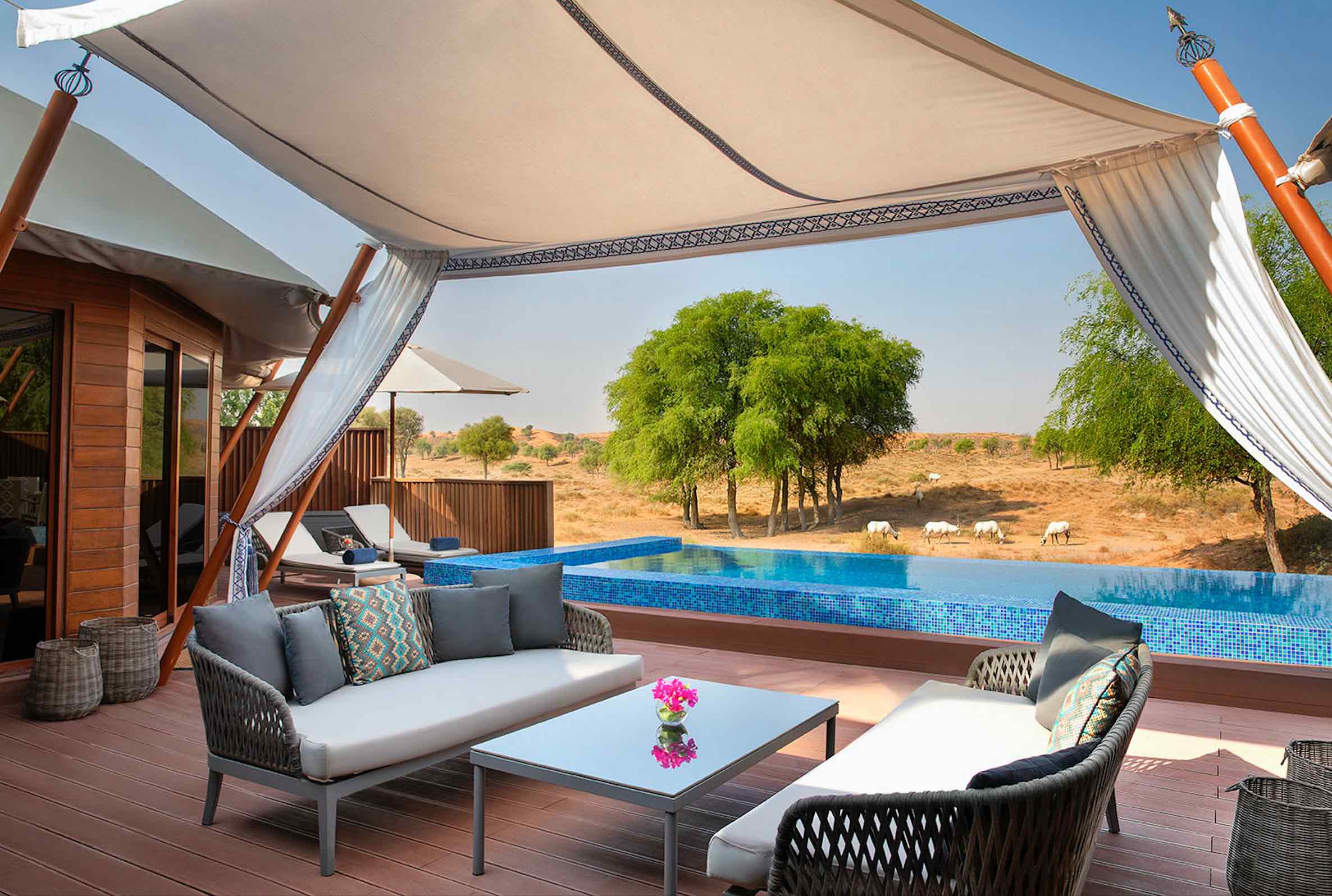 Desert Dreaming at The Ritz-Carlton Ras Al Khaimah, Al Wadi Desert