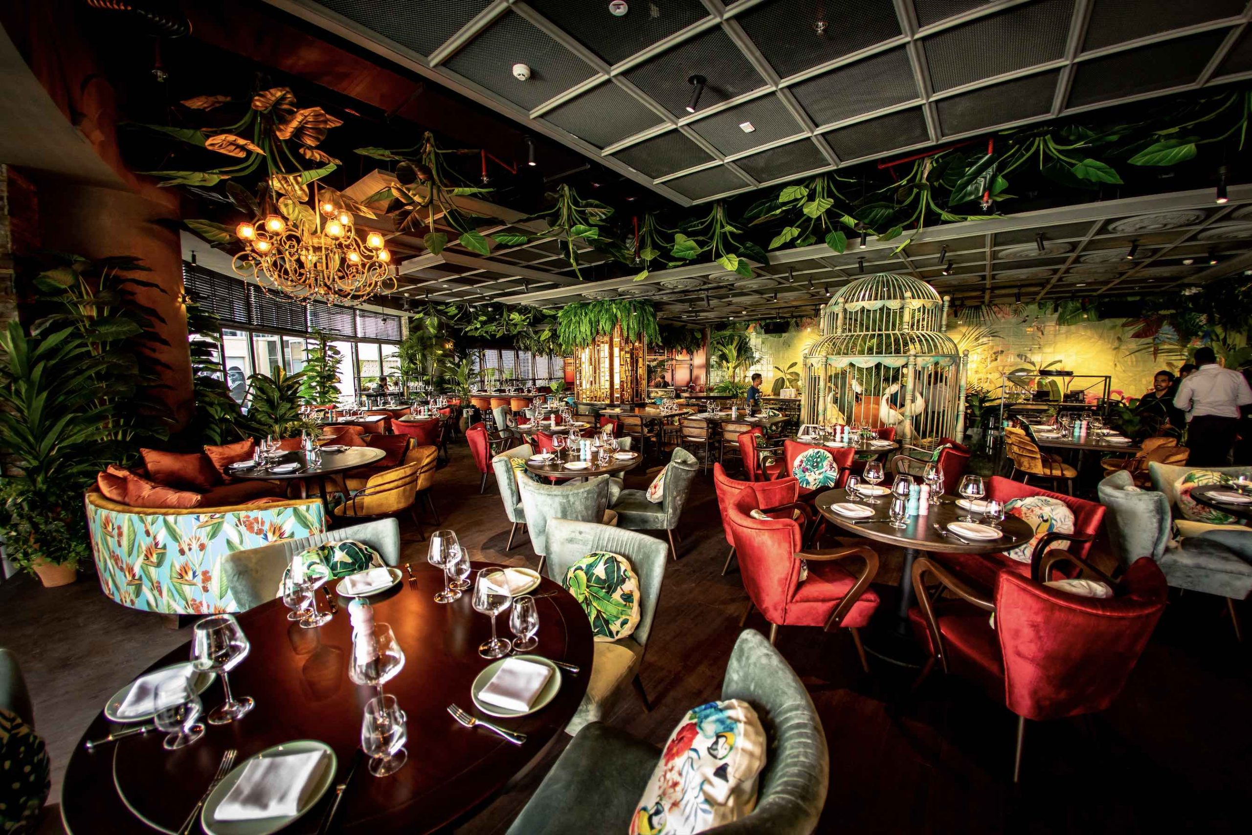 This jungle-themed restaurant is THE place for ladies night in Dubai Marina