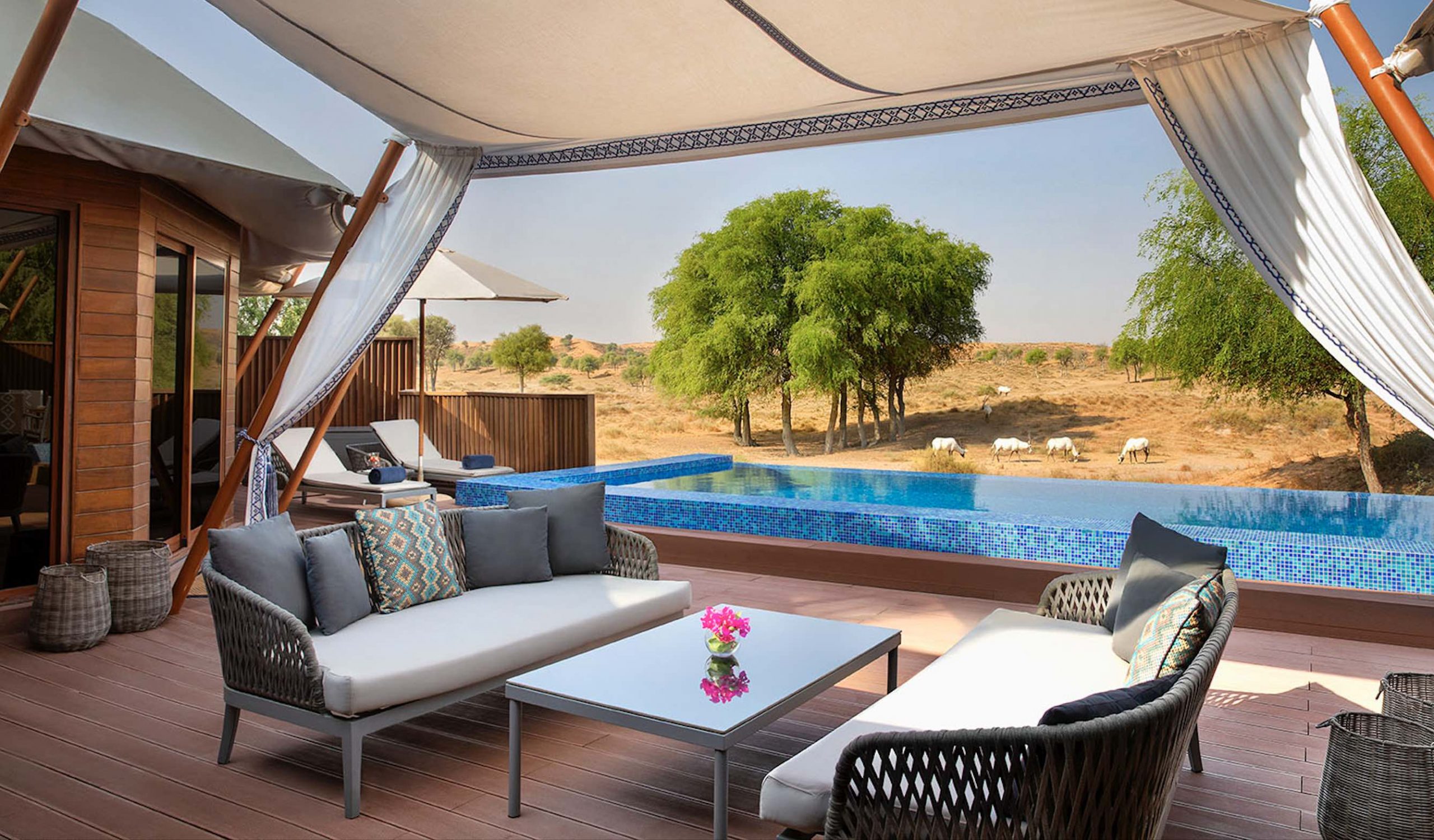 Embrace ecotourism at The Ritz-Carlton Ras Al Khaimah, Al Wadi Desert