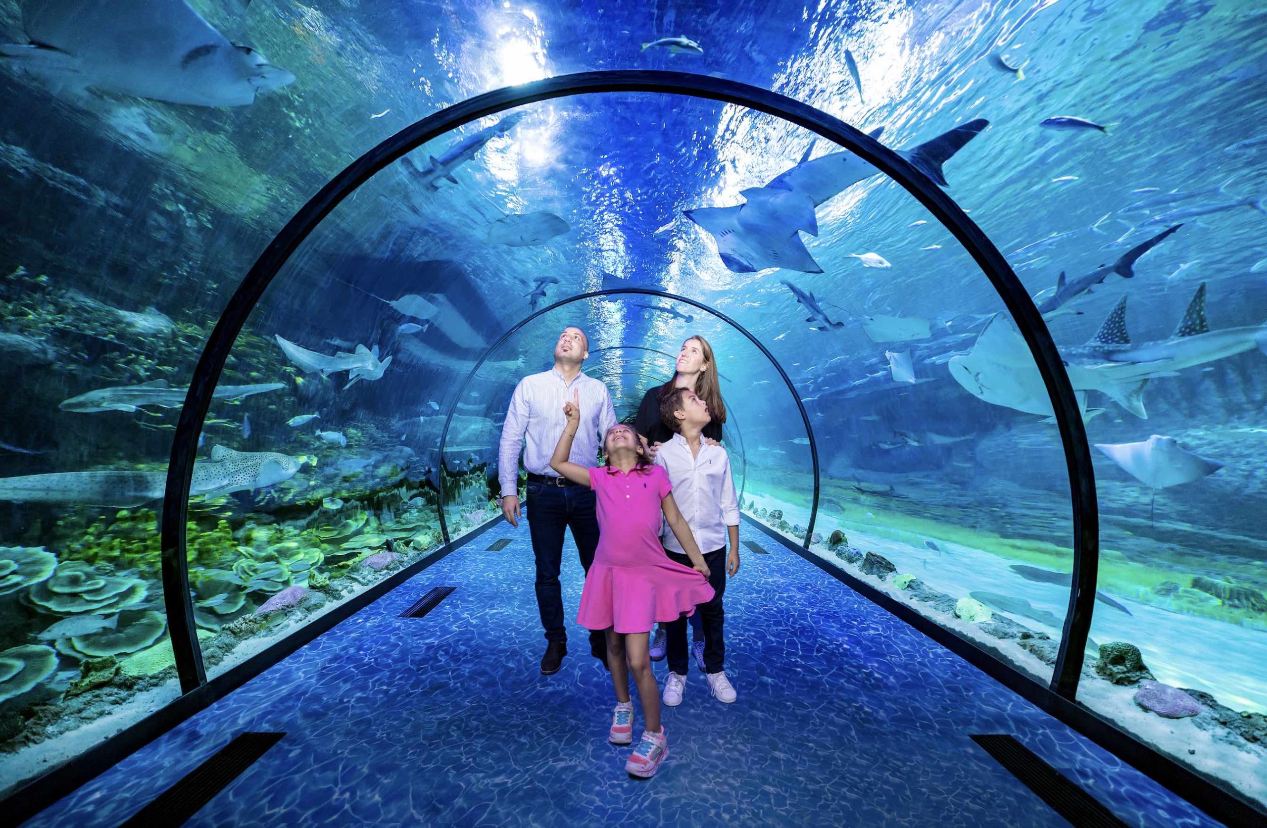 The largest aquarium in the Middle East opens on Friday