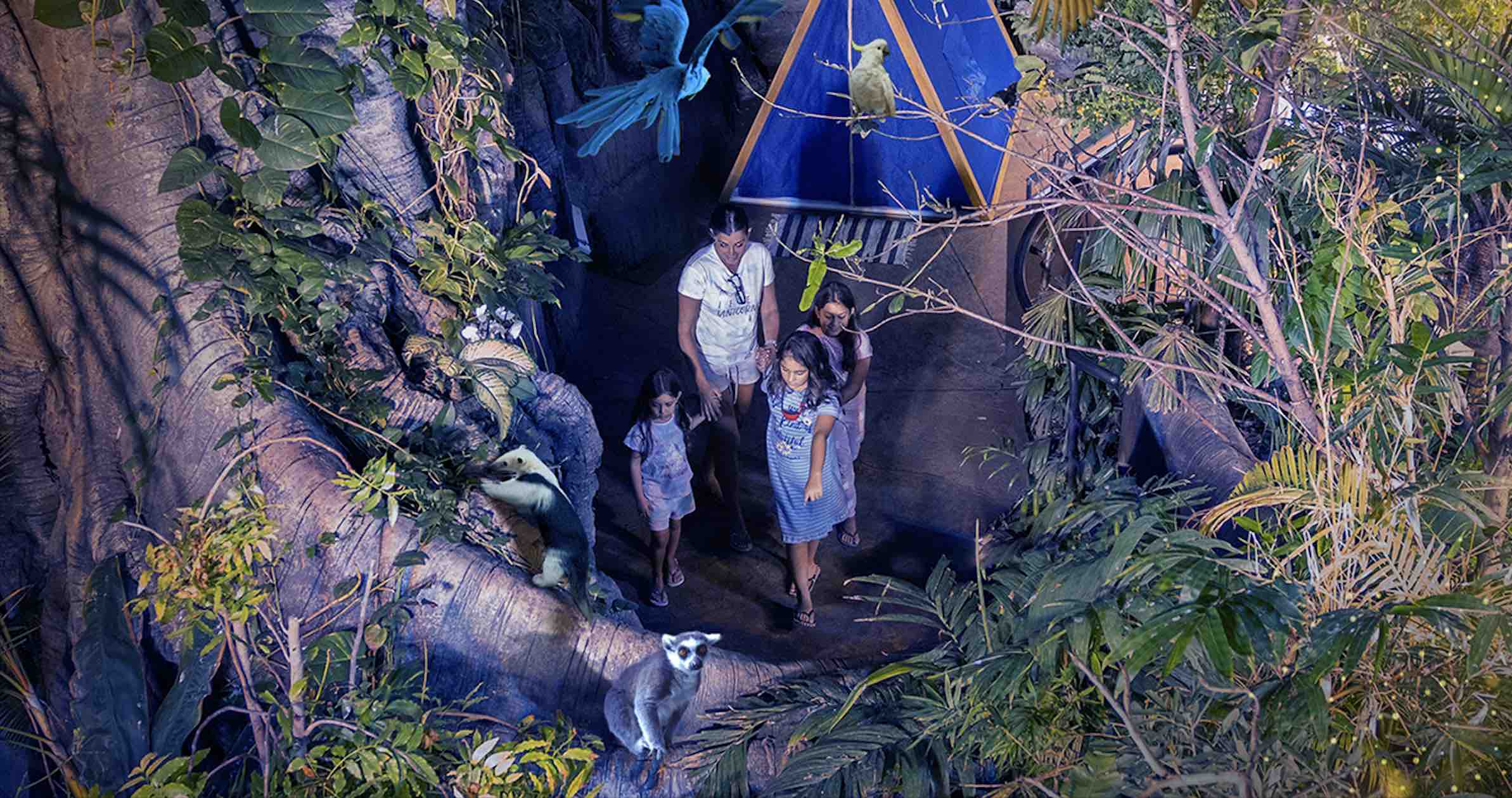 Rainforest camping is now a thing in Dubai