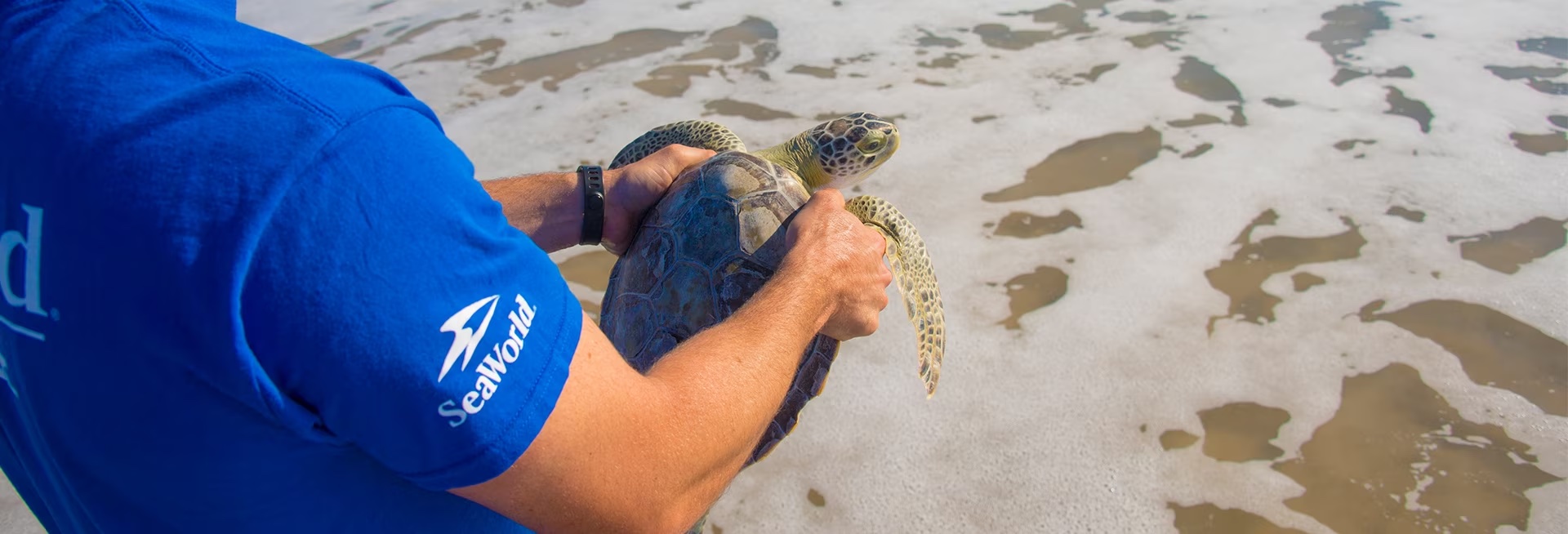 SeaWorld Abu Dhabi opens the region’s first marine research centre