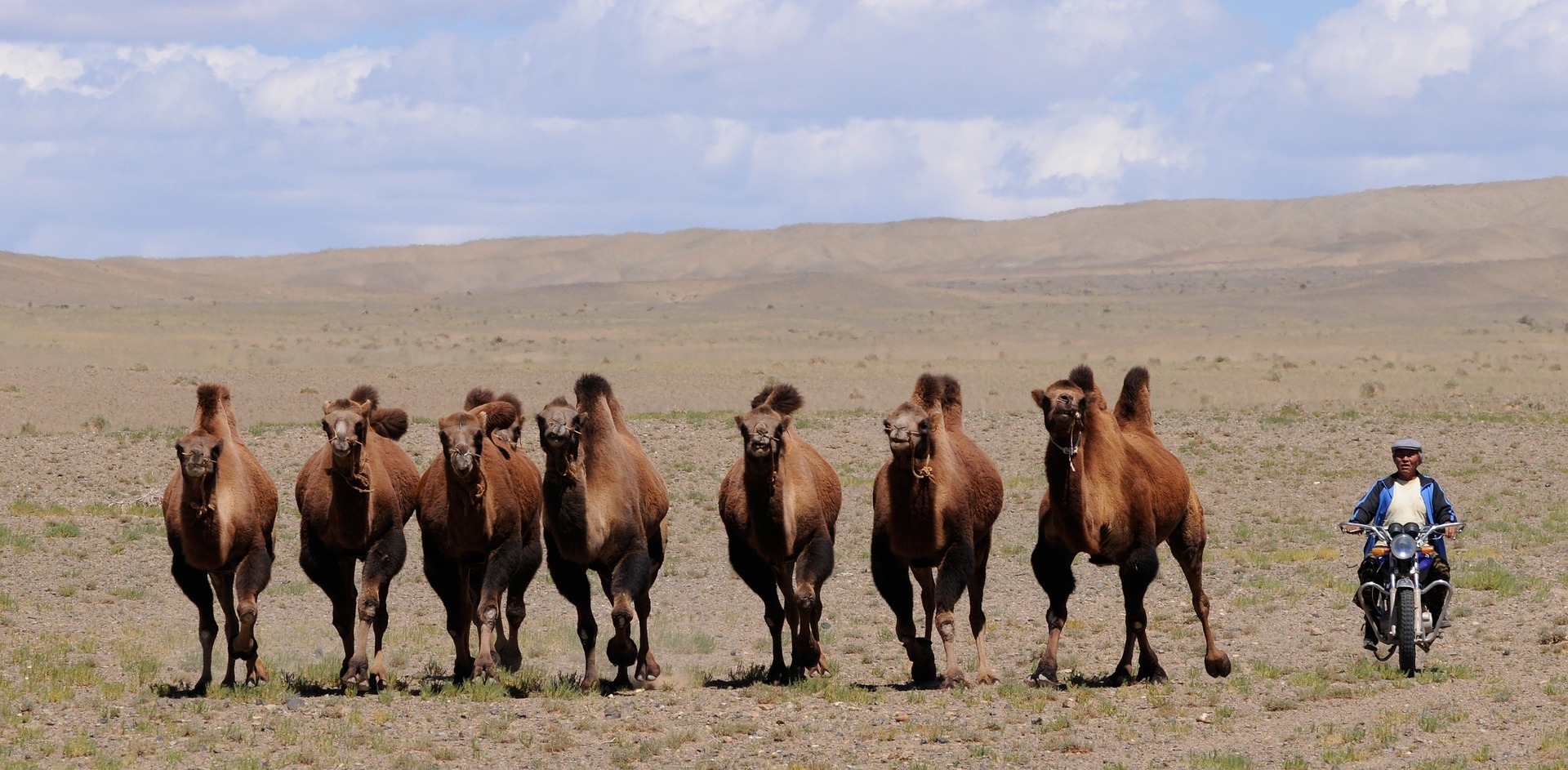 UAE citizens can now enjoy visa-free adventures in Mongolia