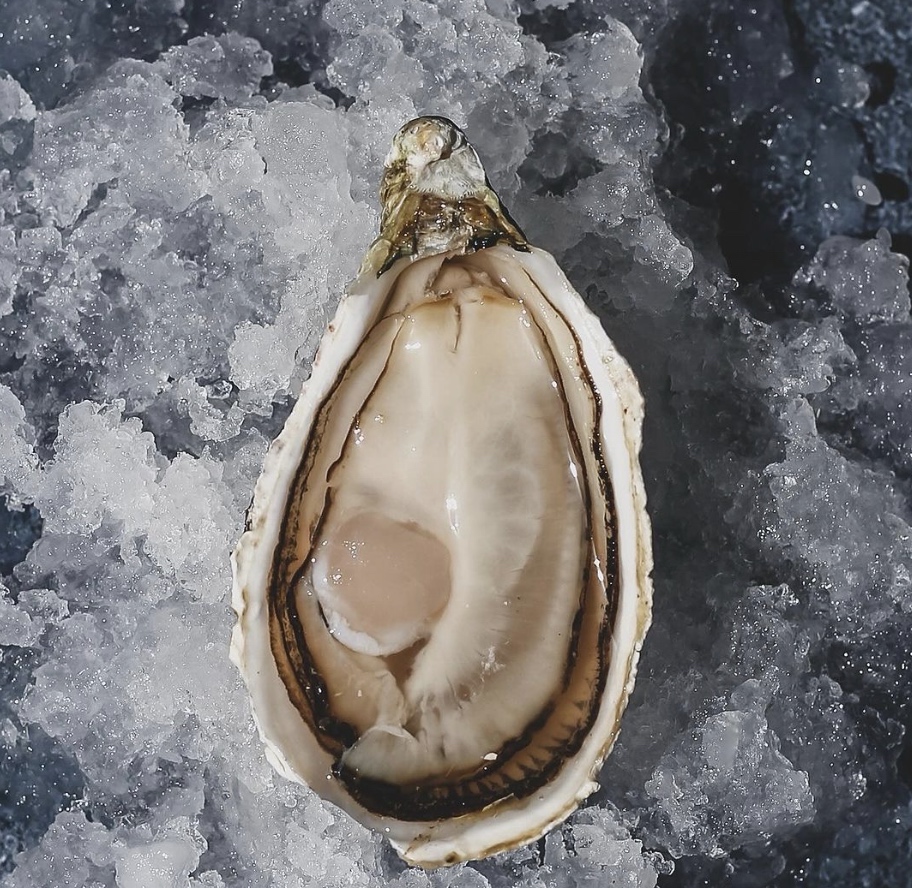 Dibba Bay Oyster Festival returns to the UAE