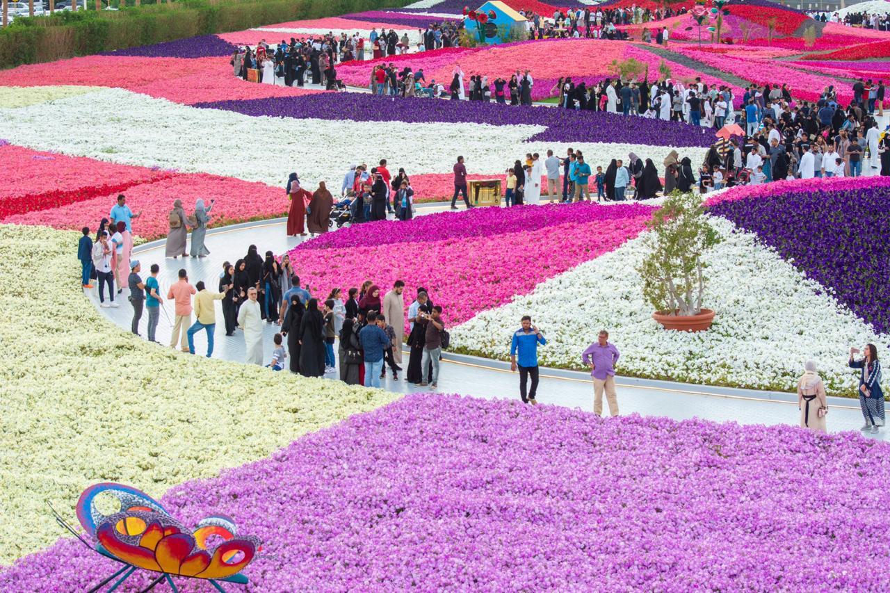 Yanbu Flower Festival 2024 – When? – Food and Travel Moments