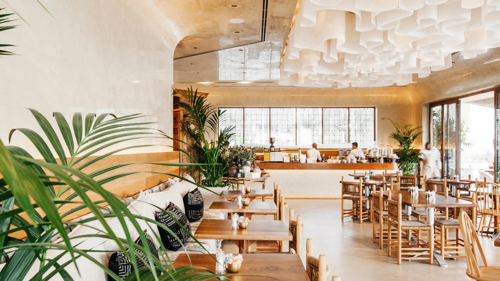 tashas café is expanding from the UAE to Saudi Arabia 